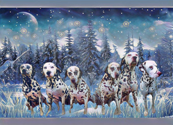 Titara's kennel