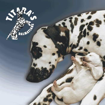 Titara's kennel